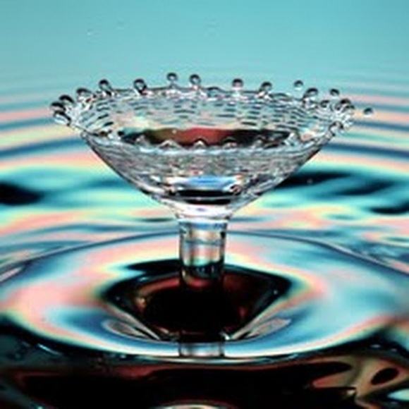 Meet your Posher, Katherine - Picture 1 of 1